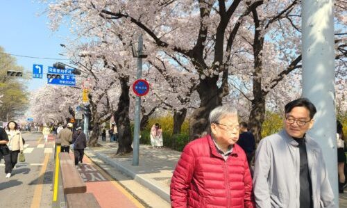 665447012db035546541-500×400